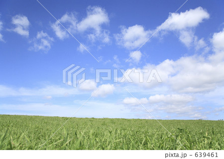 草原と空 639461