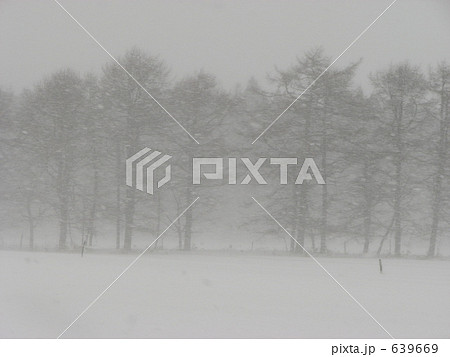吹雪　撮影一時中断 639669
