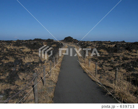 伊豆大島 三原山 伊豆大島 三原山 639713