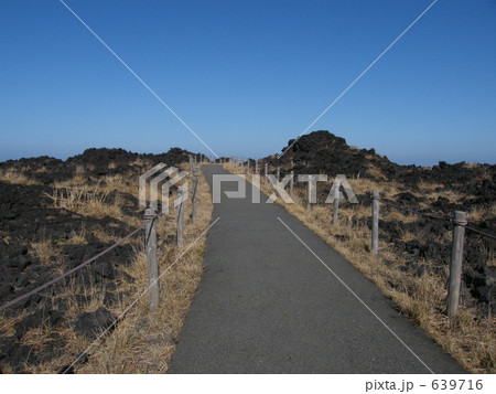 伊豆大島 三原山 伊豆大島 三原山 639716