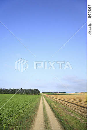 一本道 一本道 640867