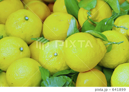 でこぽん(大) でこぽん(大) 641899