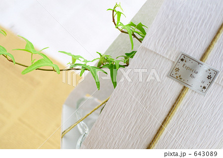 ナチュラル　プレゼント　グリーンのプレゼント 643089