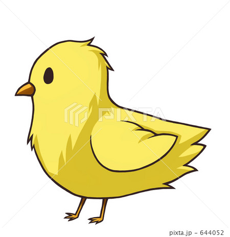 ひよこ ひよこ 644052