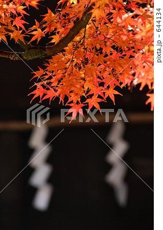 手向山八幡宮の紅葉 644134