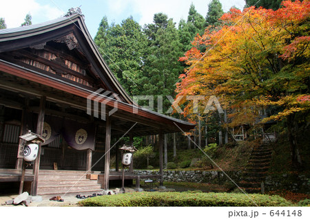 来迎院の紅葉 644148