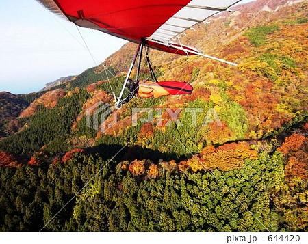 紅葉した弥彦山の山麓をハンググライダーで飛行中 644420