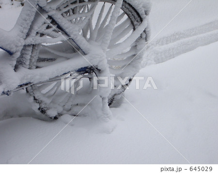 私のママチャリ　冬 645029