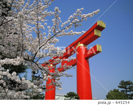 平安神宮の鳥居と桜 平安神宮の鳥居と桜 645254