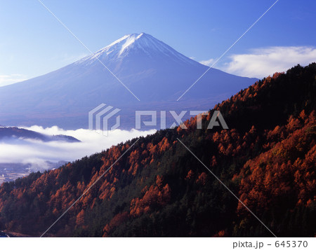 御坂峠からの秋の富士山 645370