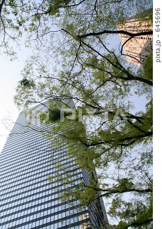 新緑のオフィス街 645696