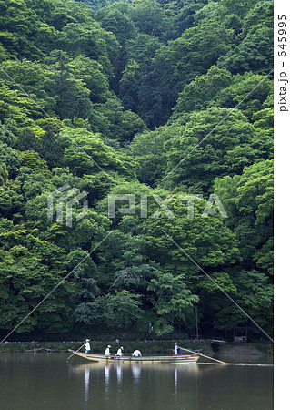 京都嵯峨野 645995