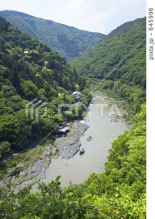新緑の保津峡(大堰川エリア) 645996