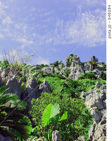 金剛石林山 646084