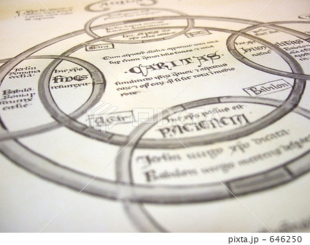 ラテン語古書/中世の写本◆著作権切れ本◆歴史的価値のある本 ラテン語古書/中世の写本◆著作権切れ本◆歴史的価値のある本 646250