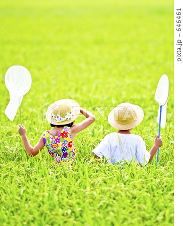 田んぼで虫捕り 646461