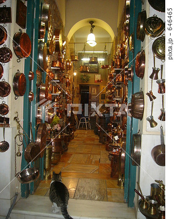 ネコと金物屋 646465