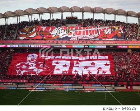 サポーター 646528