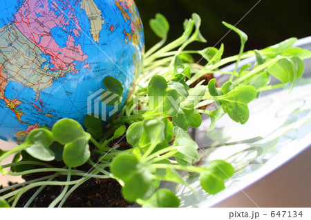 新芽を踏みつぶして転がる地球と時計 欧米圏 新芽を踏みつぶして転がる地球と時計 欧米圏 647134