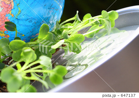 新芽を踏みつぶして転がる地球と時計 アジア圏 新芽を踏みつぶして転がる地球と時計 アジア圏 647137