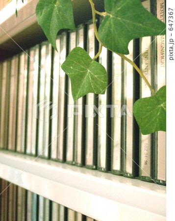 植物も音楽が大好き! 植物も音楽が大好き! 647367