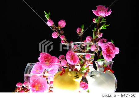 お正月　干支　トラ年　素材　ライトアップ 647750