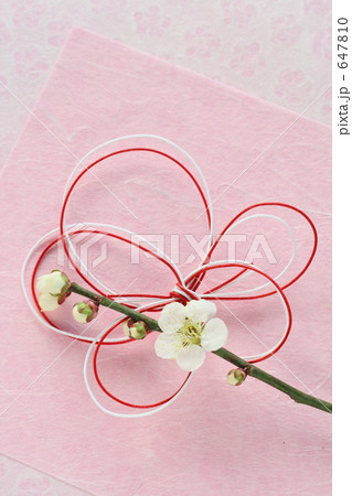 年賀 早春Ⅱ 年賀 早春Ⅱ 647810