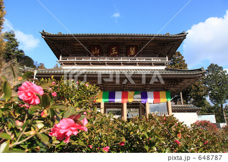 大窪寺　仁王門 648787