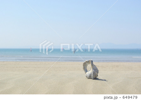 砂浜の貝殻と青い空と海 砂浜の貝殻と青い空と海 649479