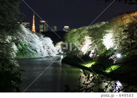 千鳥が淵桜のライトアップ 千鳥が淵桜のライトアップ 649583