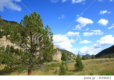 イエローストーン国立公園 649602