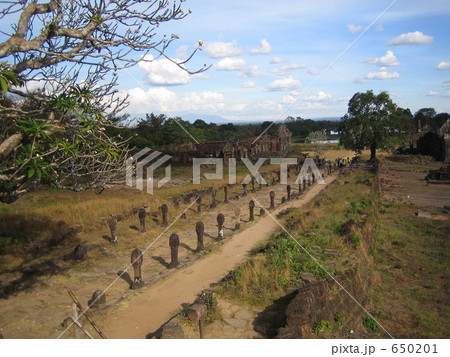 ワットプー 650201