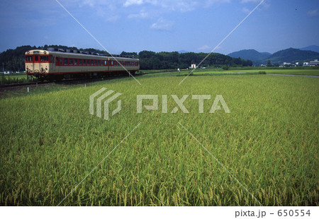 紀勢本線、多気付近 紀勢本線、多気付近 650554