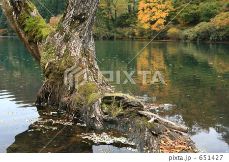 白浪の池 白浪の池 651427