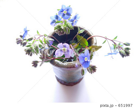 ベロニカ・オックスフォードブルー 651997