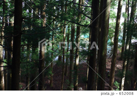 森の向こうに清流 652008