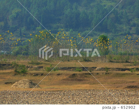 桂林にて漓江下り途中の風景 652902