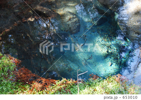 男池湧水群 男池湧水群 653010