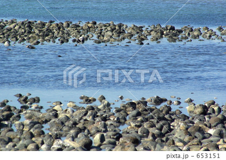 鎌倉　材木座海岸の和賀江島のごろた石と海 653151