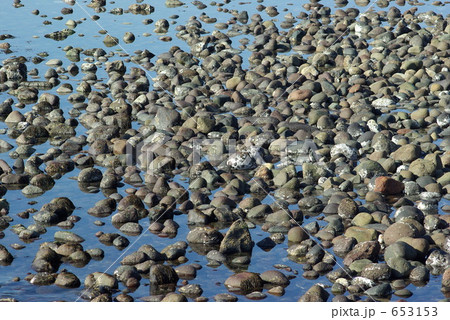 鎌倉　材木座海岸の和賀江島のごろた石 653153