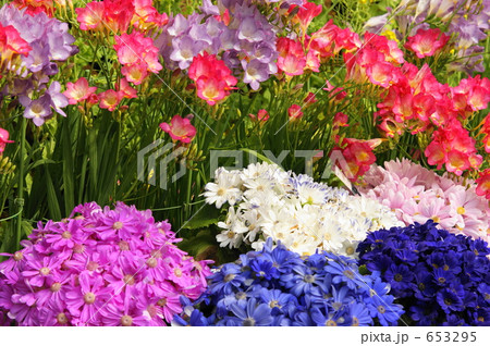 花壇 花壇 653295