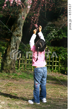 後姿 手を伸ばす 子供の写真素材