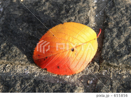 グラデーション 655856