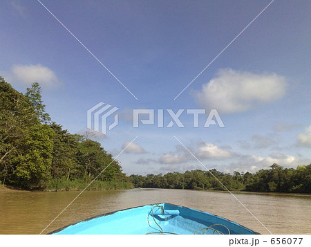 ジャングル探検クルーズ 656077