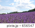 656547