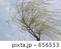 656553