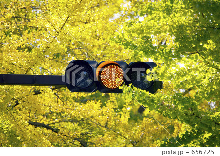 御堂筋の信号機 656725