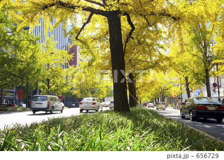 秋の大阪御堂筋 656729