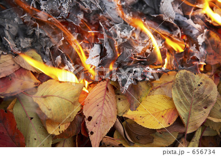 焚き火 焚き火 656734