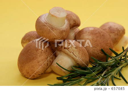 ブラウンマッシュルーム 657085